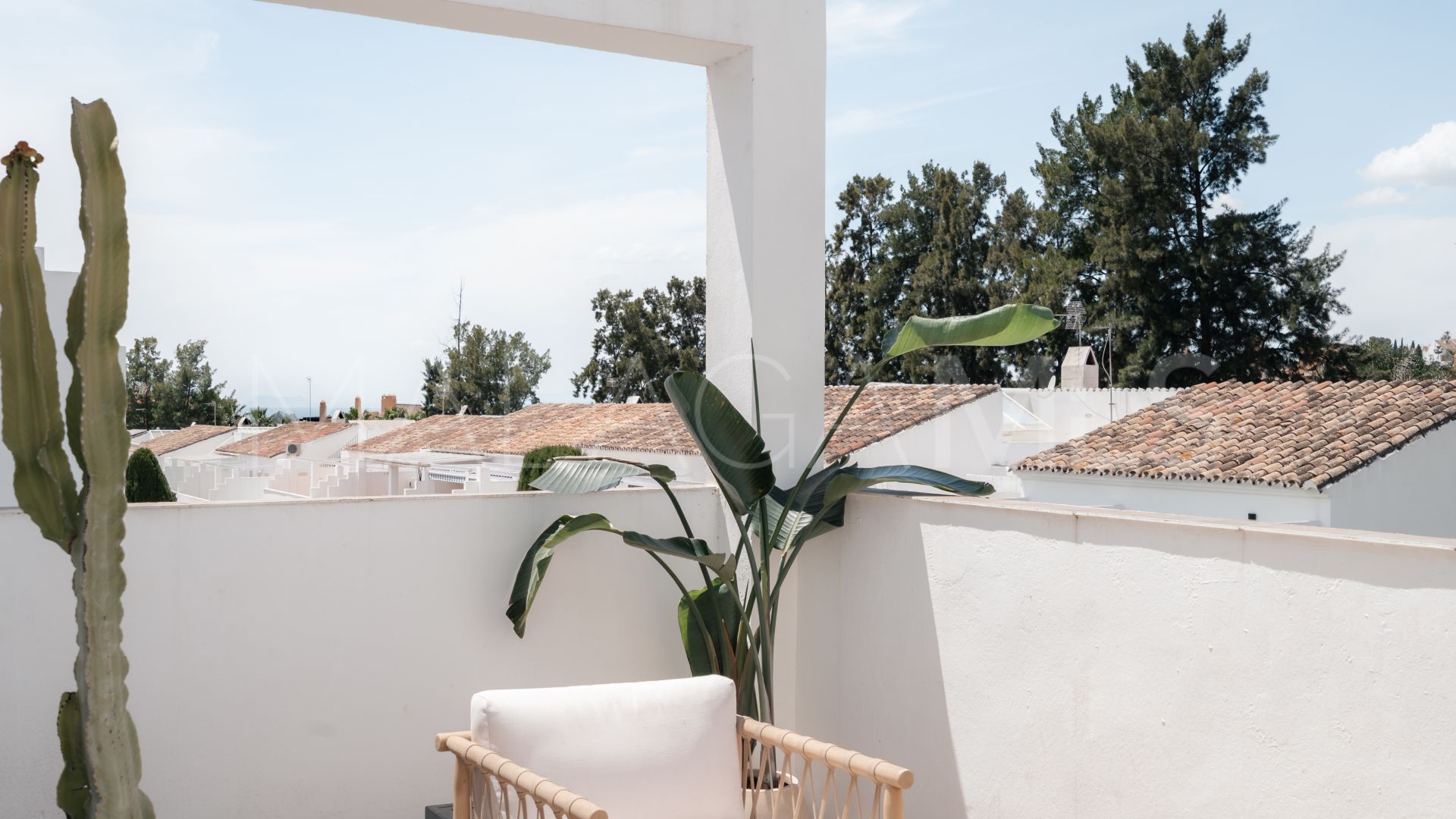Buy pareado in Señorío de Cortés