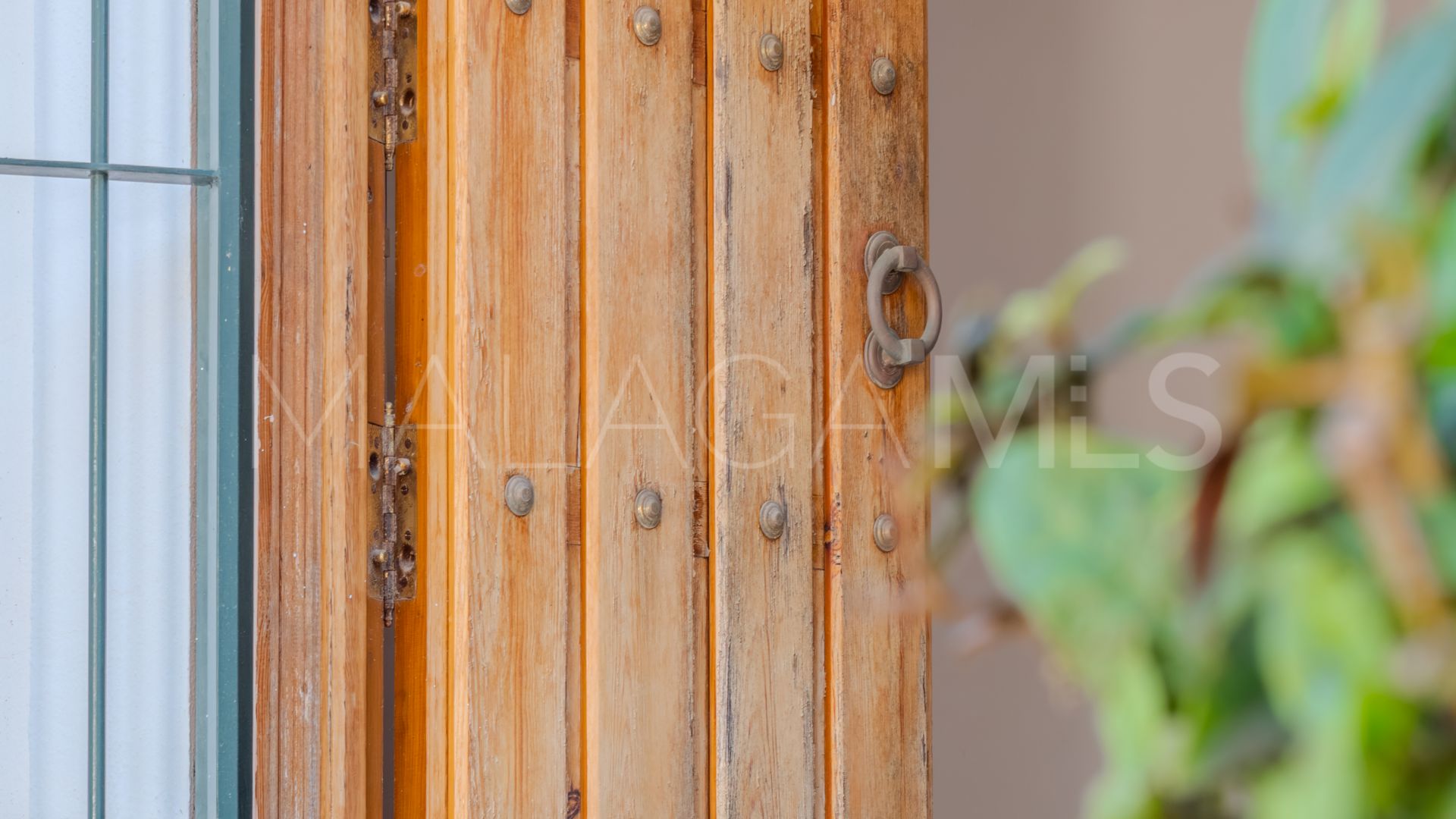 Elviria villa for sale