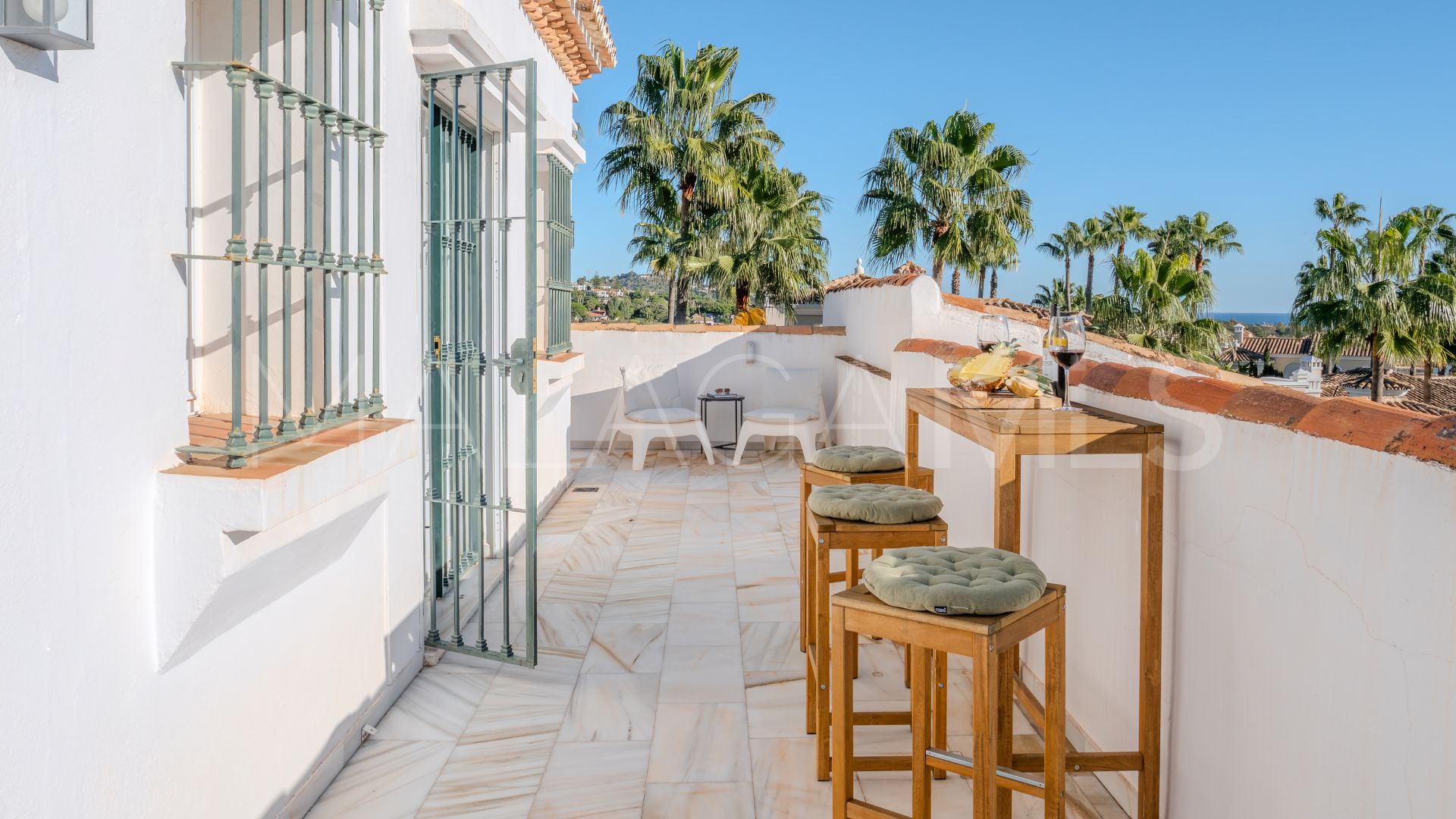 Elviria villa for sale