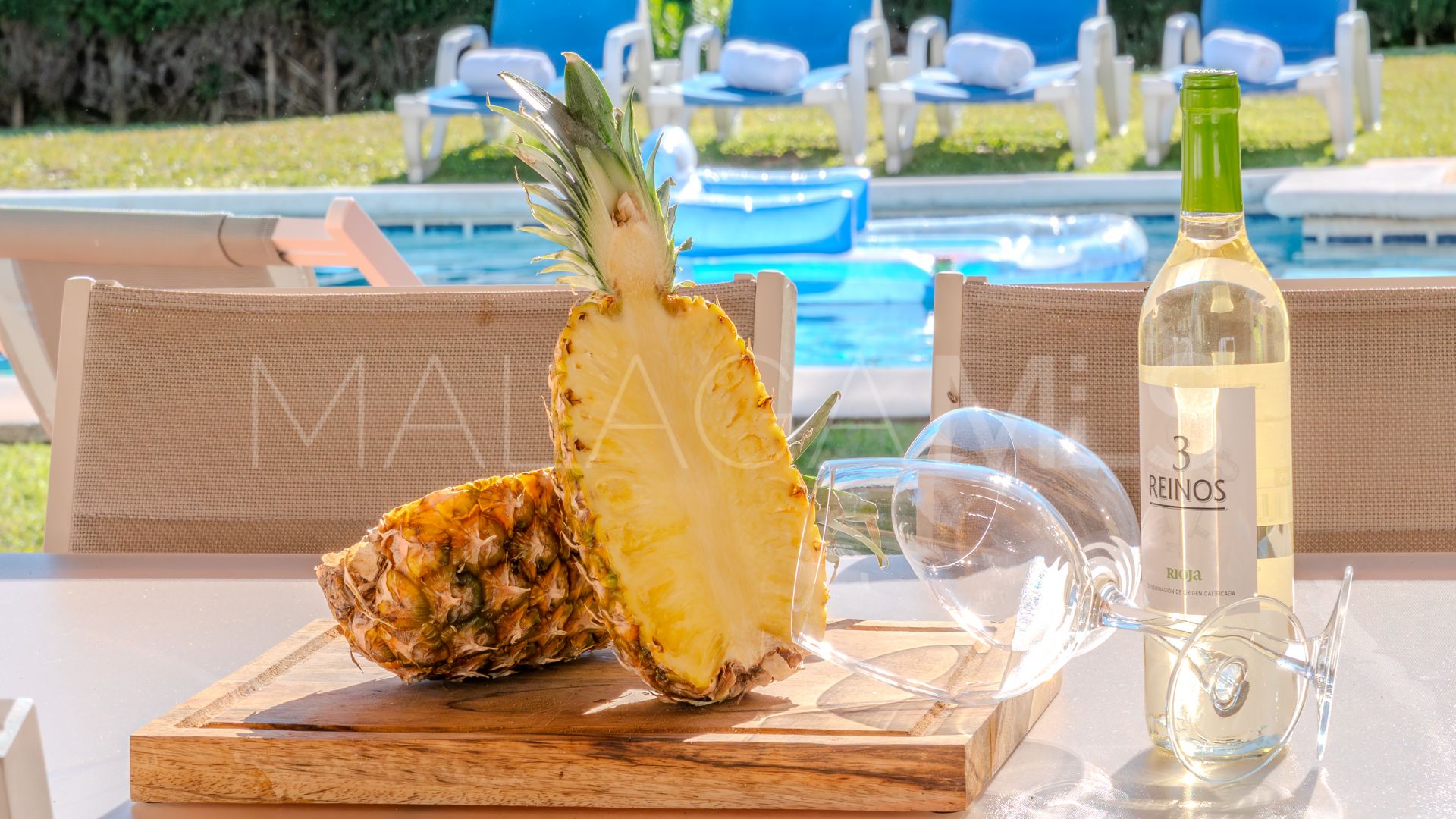 Elviria villa for sale