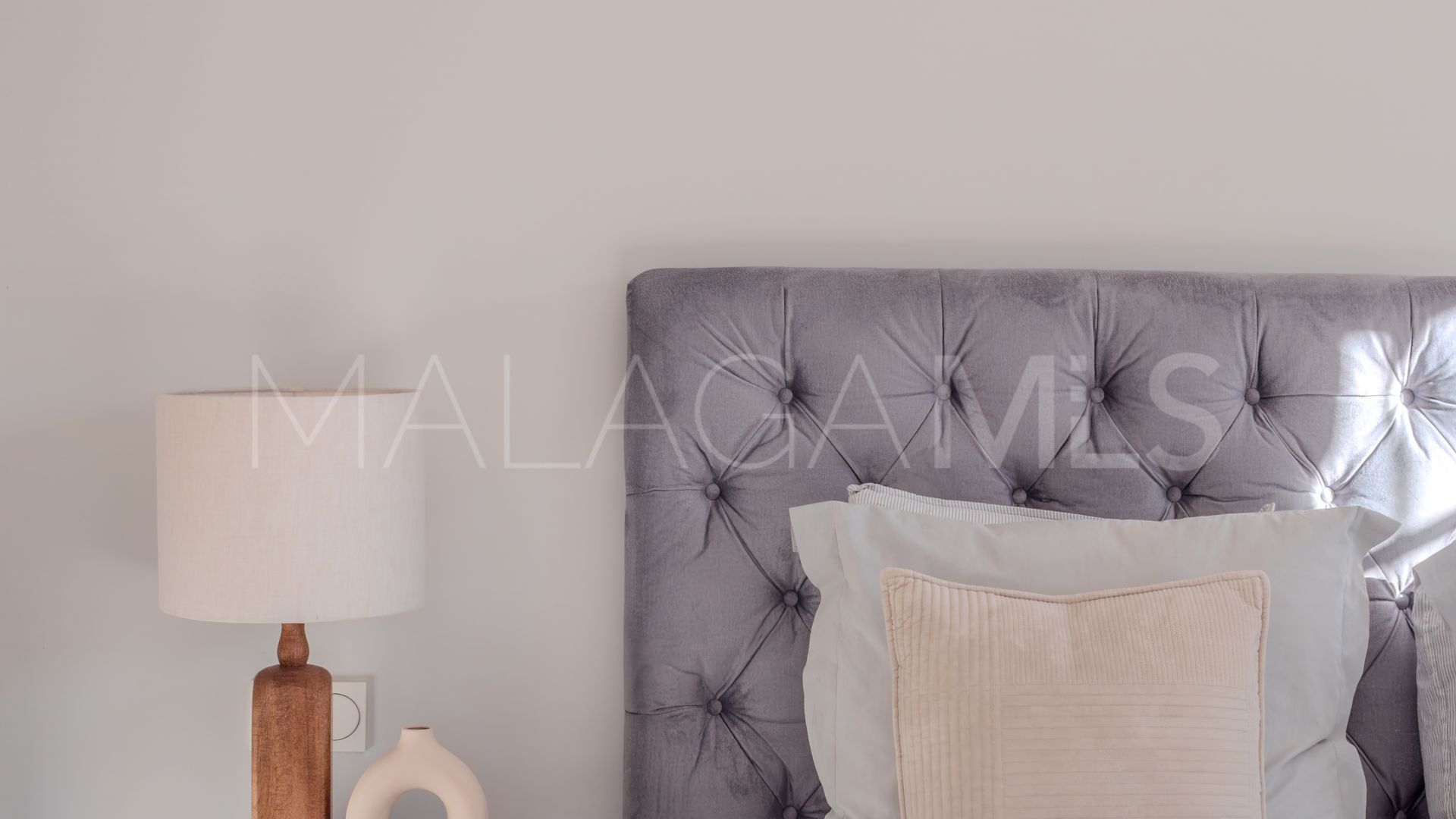 Elviria villa for sale