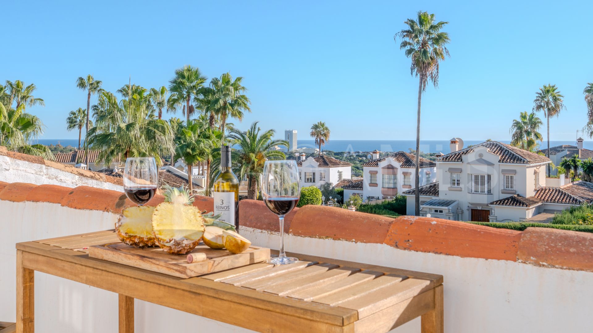 Elviria villa for sale