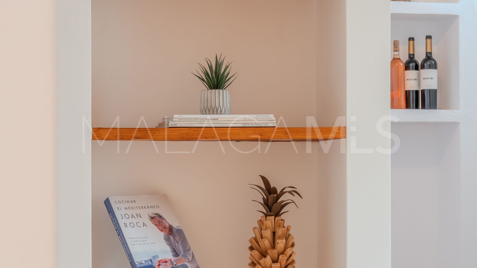 Elviria villa for sale