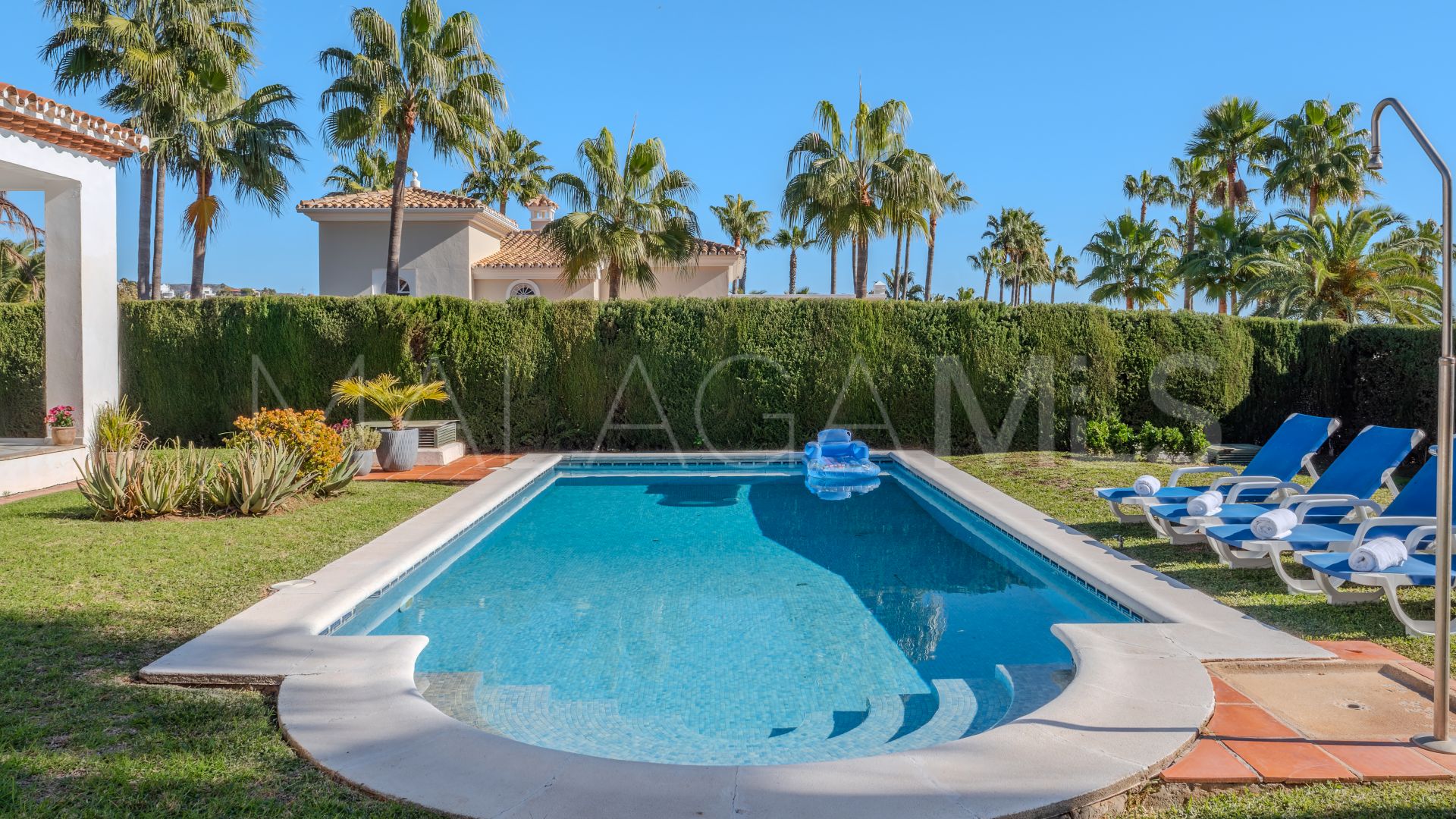 Elviria villa for sale