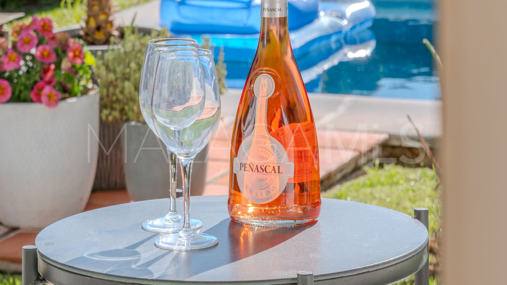 Elviria villa for sale