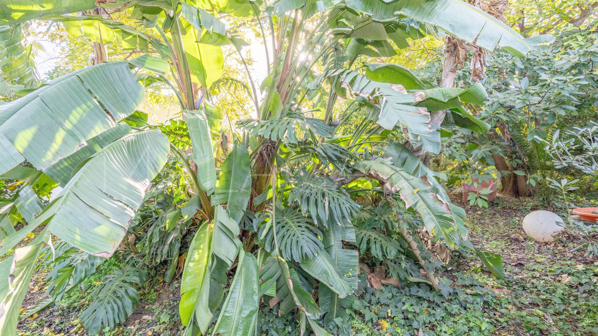 Villa for sale in Estepona