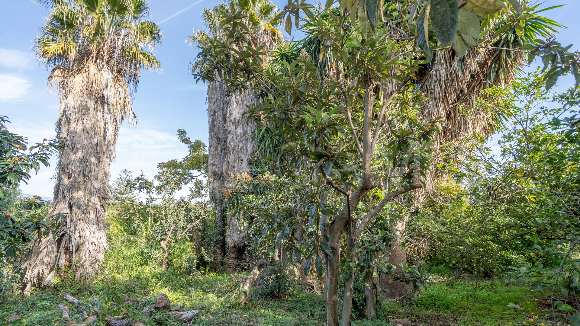 Villa for sale in Estepona