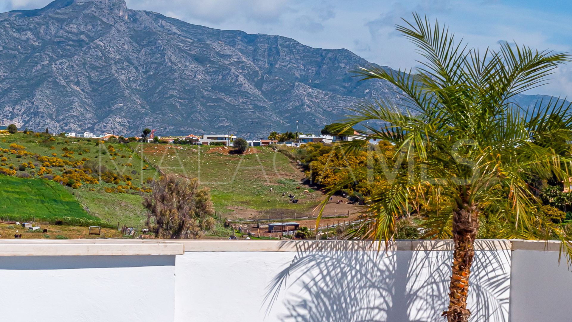 Appartement terrasse for sale in Terrazas del Rodeo