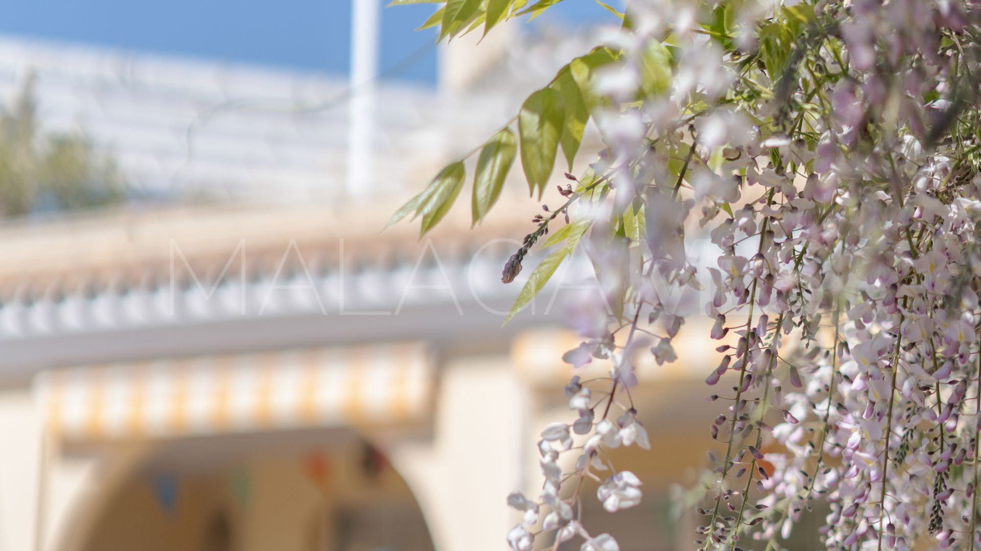 Buy villa in Seghers de 4 bedrooms