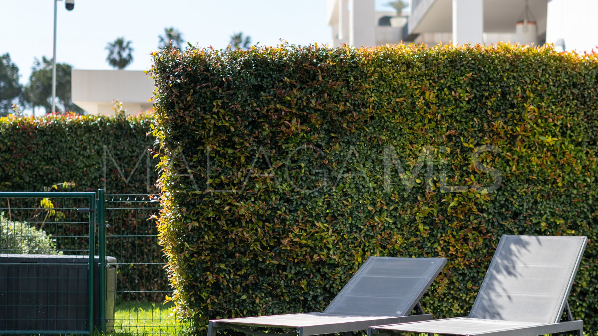 Appartement rez de chaussée for sale in Selwo