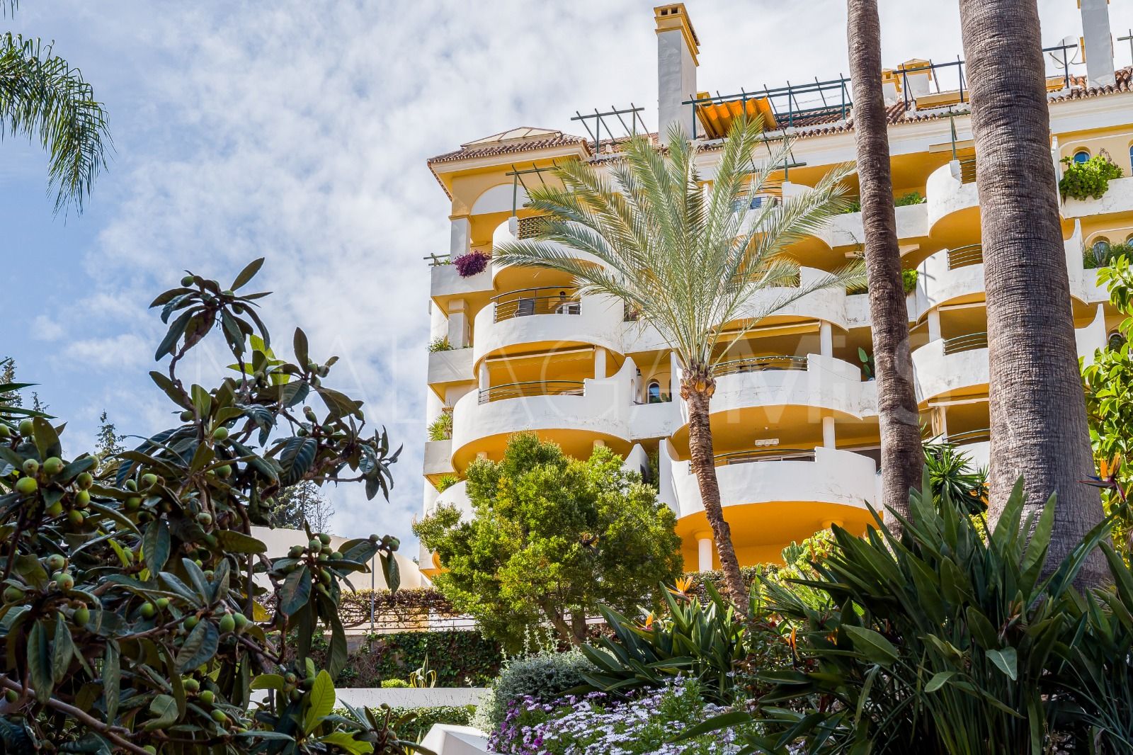 Ground floor duplex for sale in Señorio de Aloha