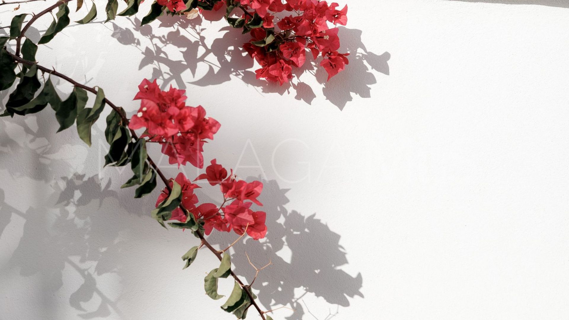 Se vende adosado in El Naranjal