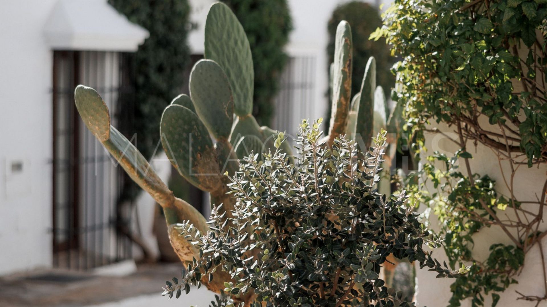 Se vende adosado in El Naranjal