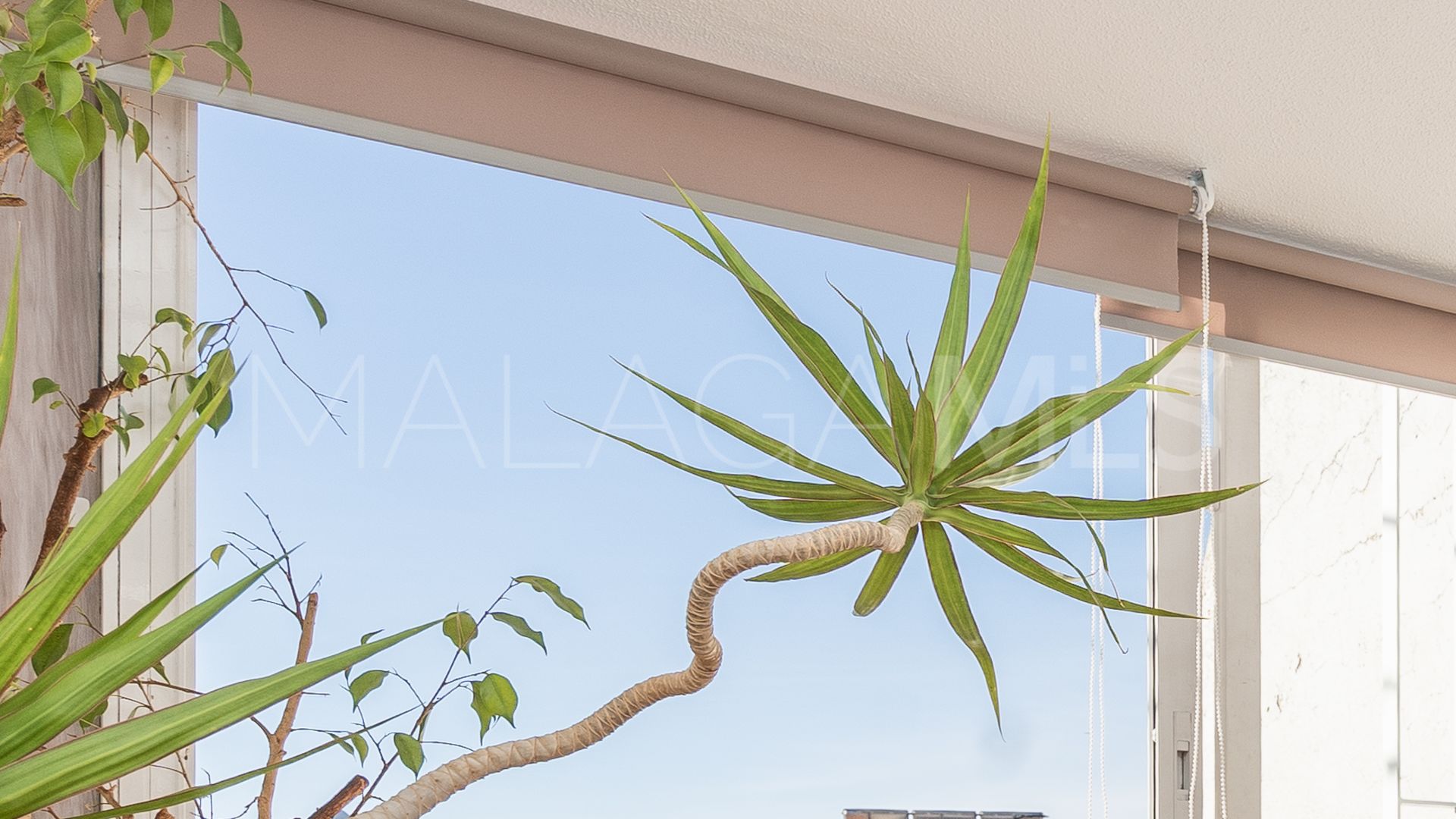 Studio for sale in Seghers