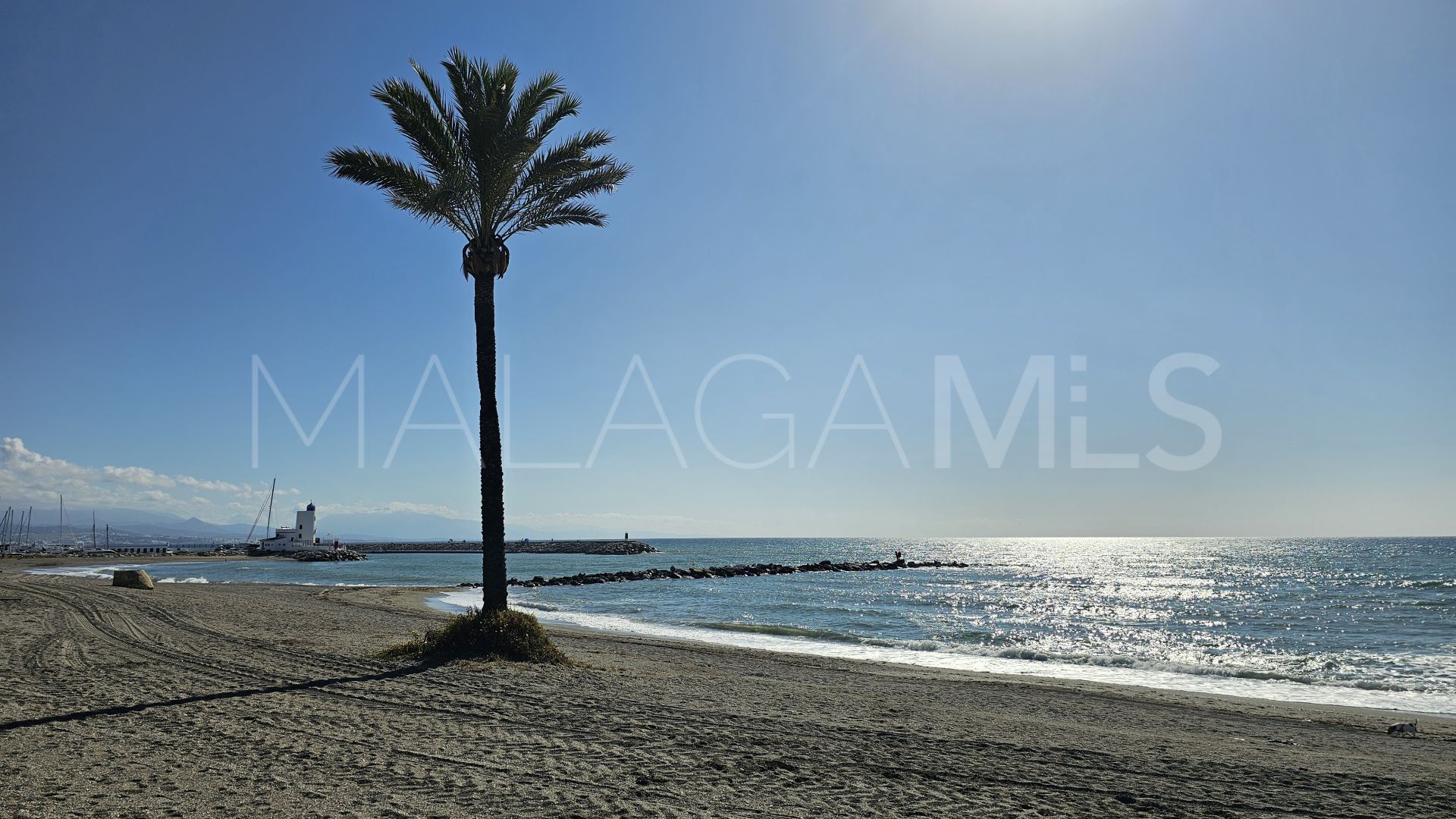 Penthouse in La Duquesa for sale