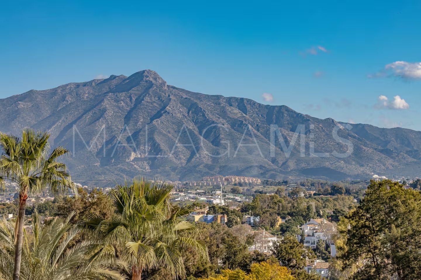 Atalaya Golf 1 bedroom apartment for sale