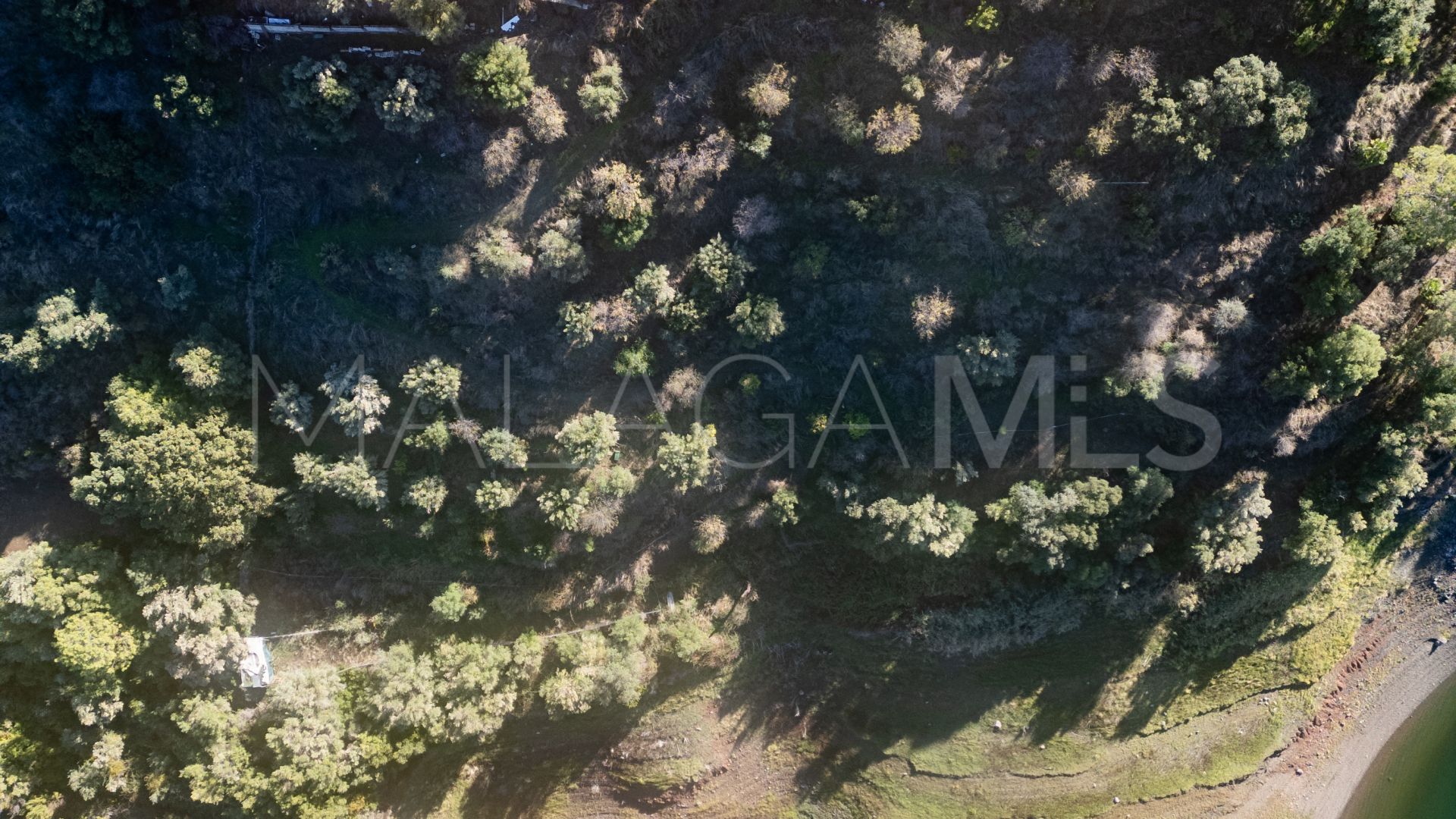 Finca for sale in Istan