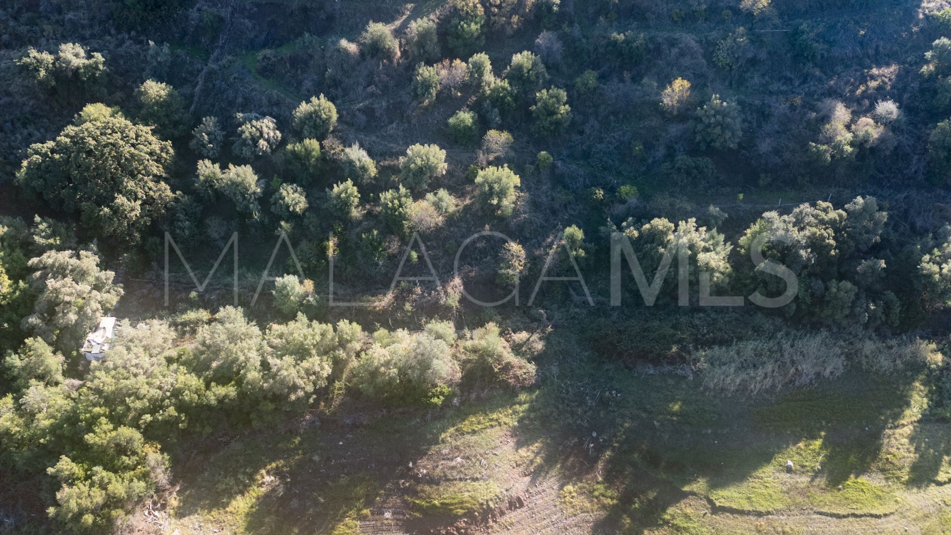 Finca for sale in Istan