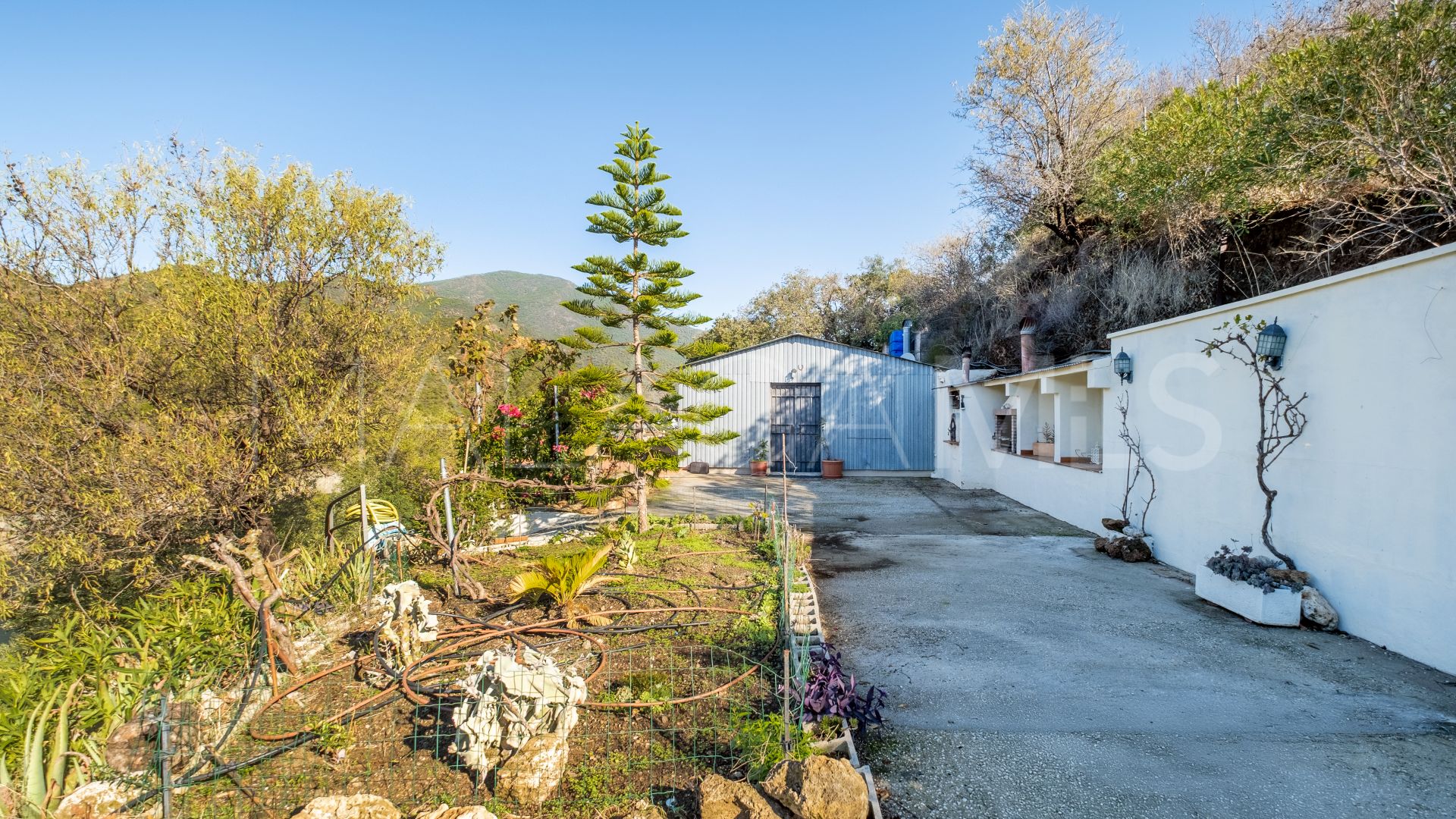 Finca for sale in Istan