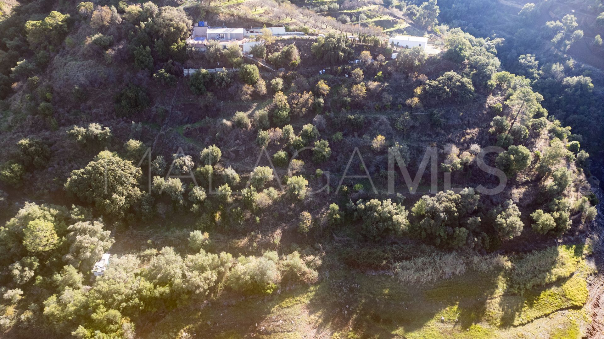 Finca for sale in Istan