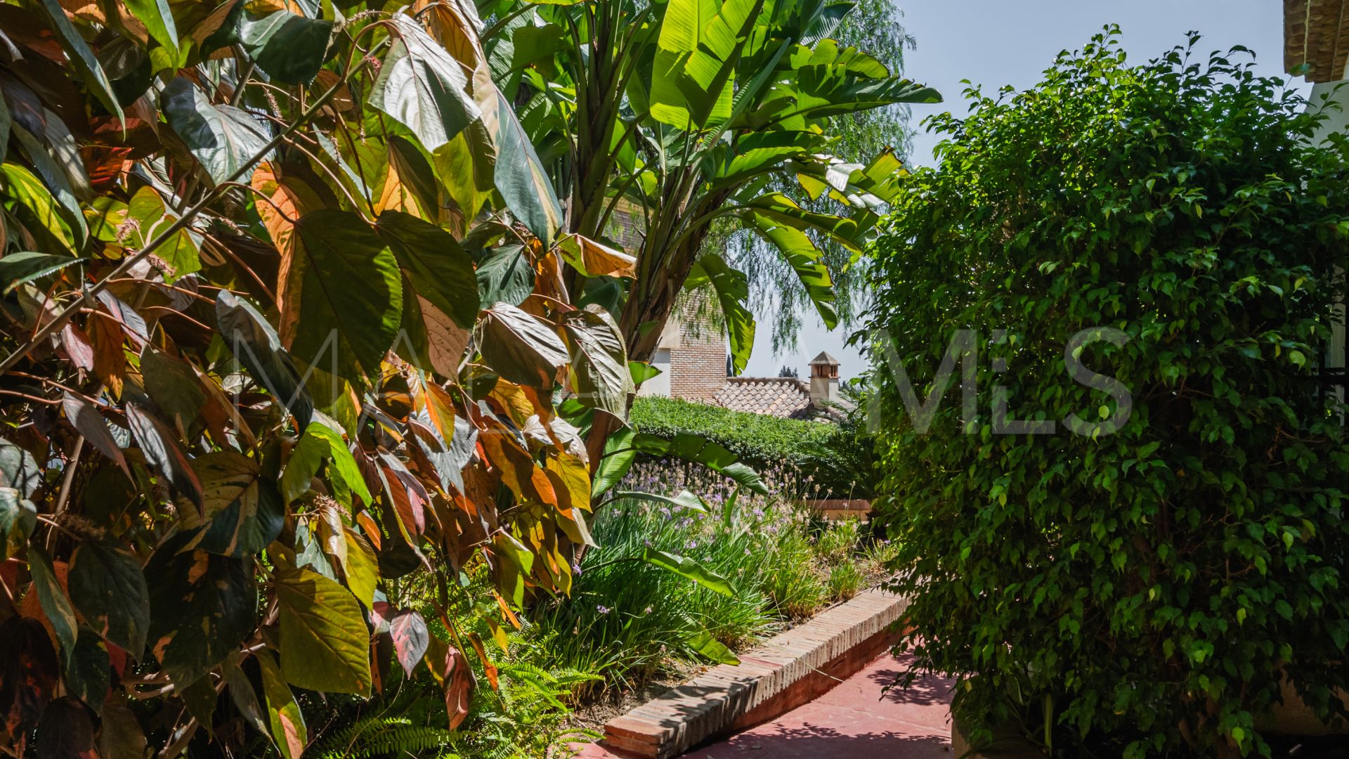 Buy Paraiso Pueblo apartment