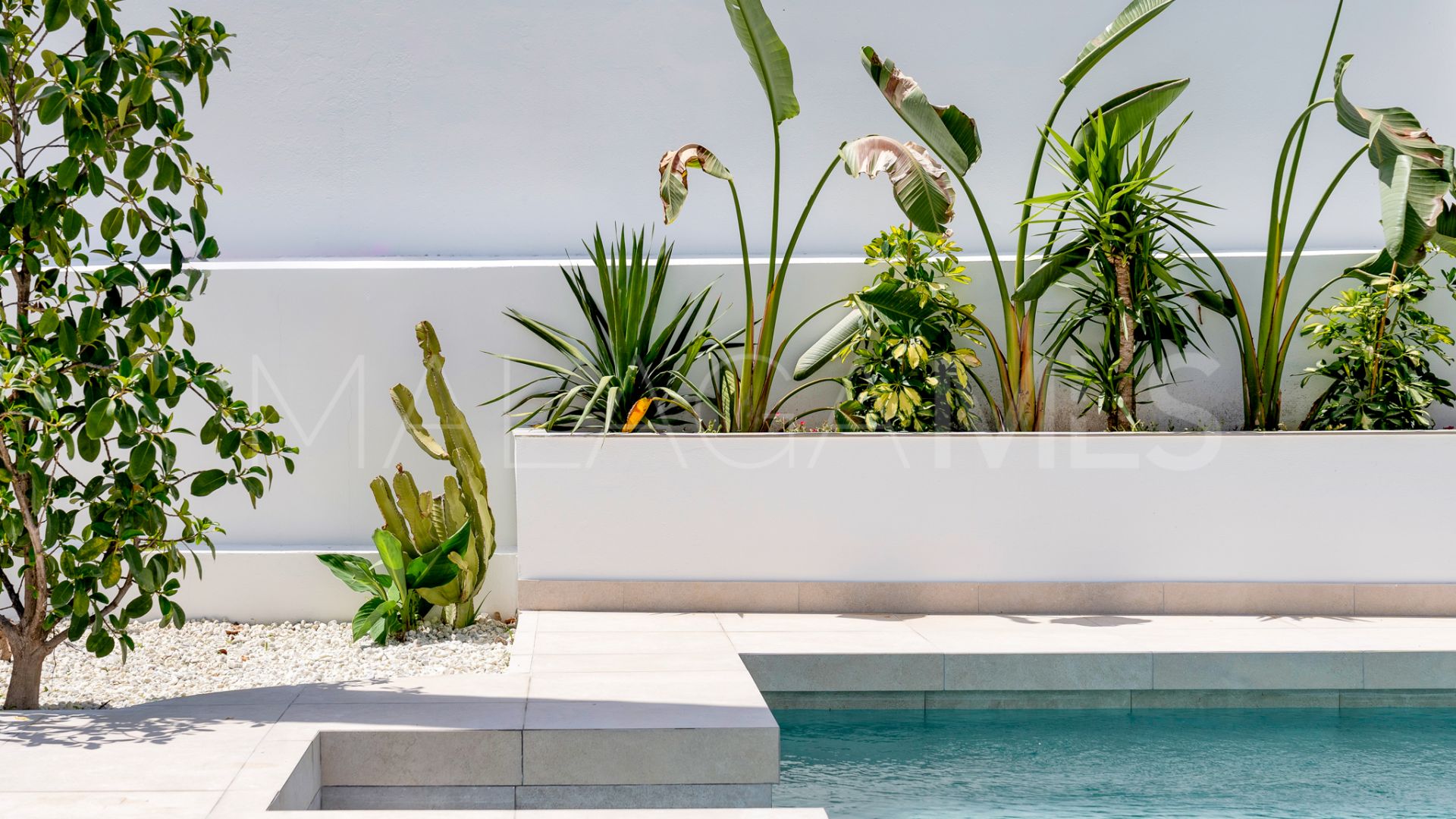 Buy villa de 4 bedrooms in Nueva Andalucia