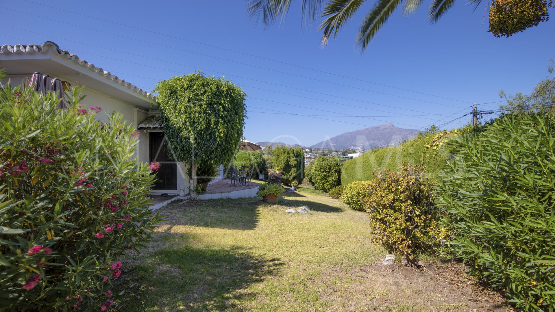 Buy villa in Guadalmina Alta