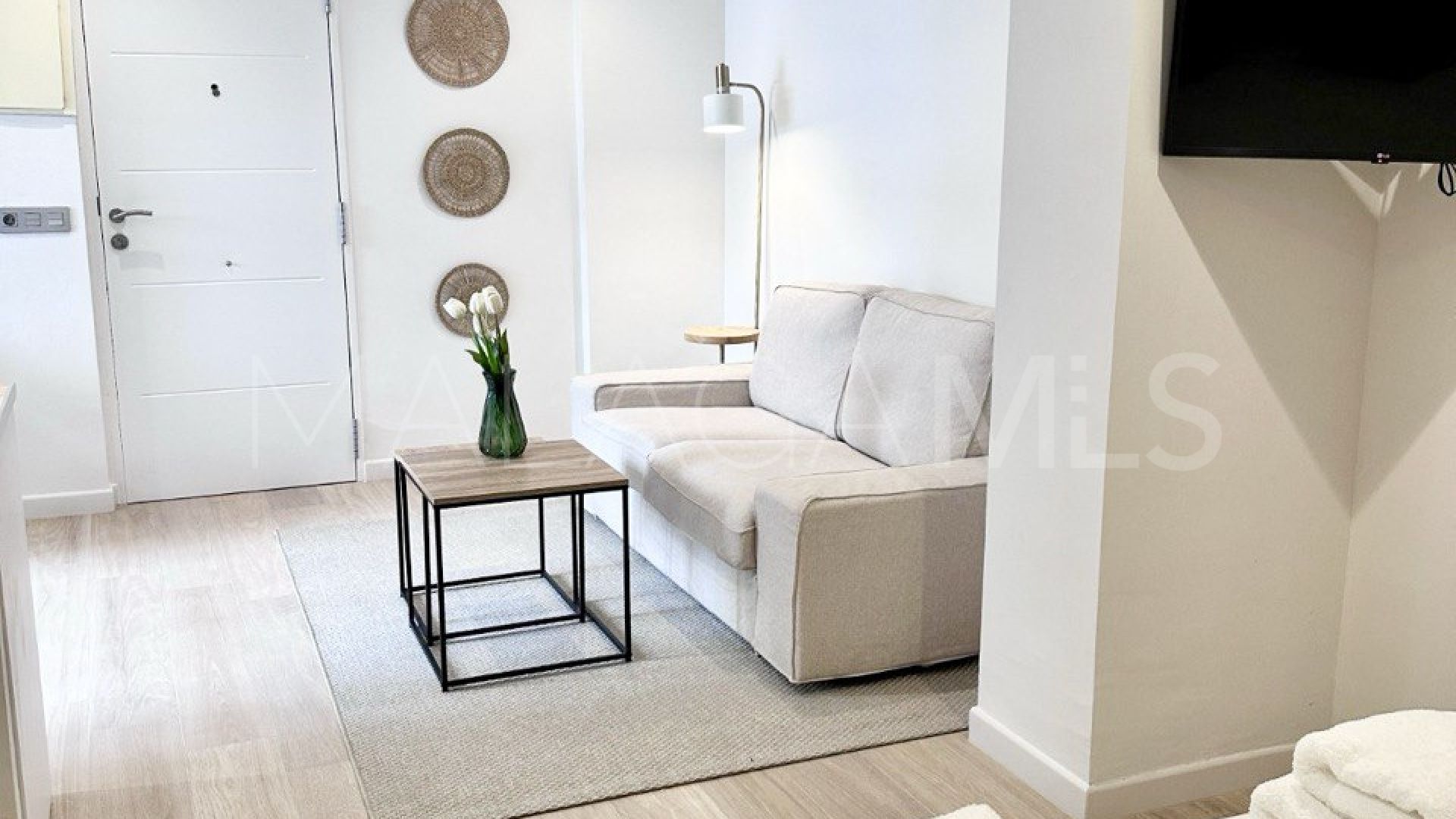 Studio for sale in Ricardo Soriano