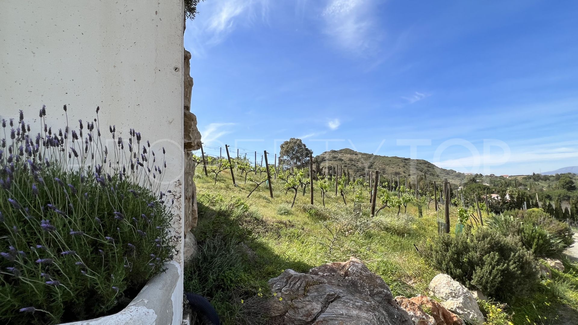 Finca de 2 dormitorios en venta en Cartama