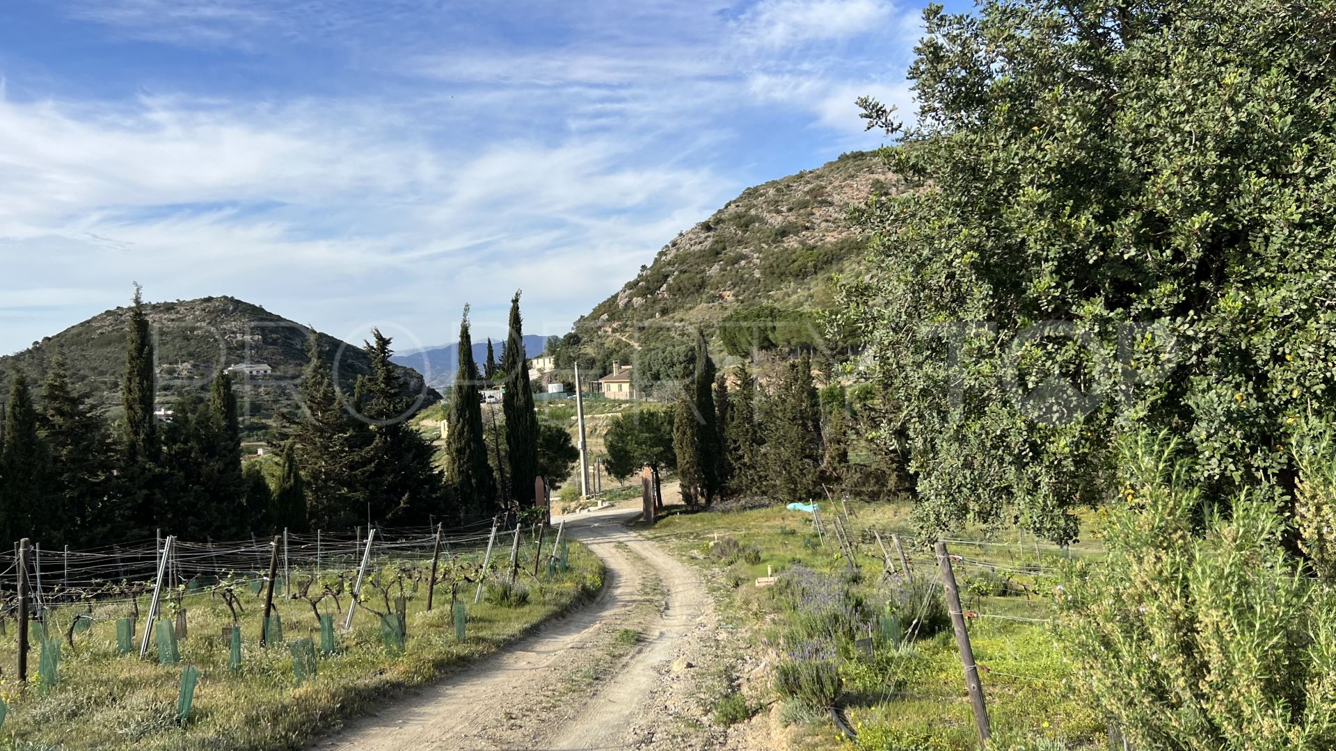 Finca de 2 dormitorios en venta en Cartama