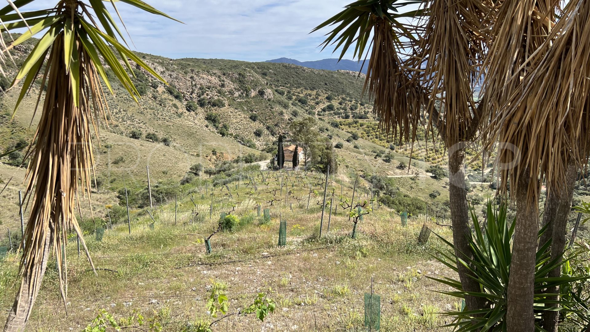 Finca de 2 dormitorios en venta en Cartama