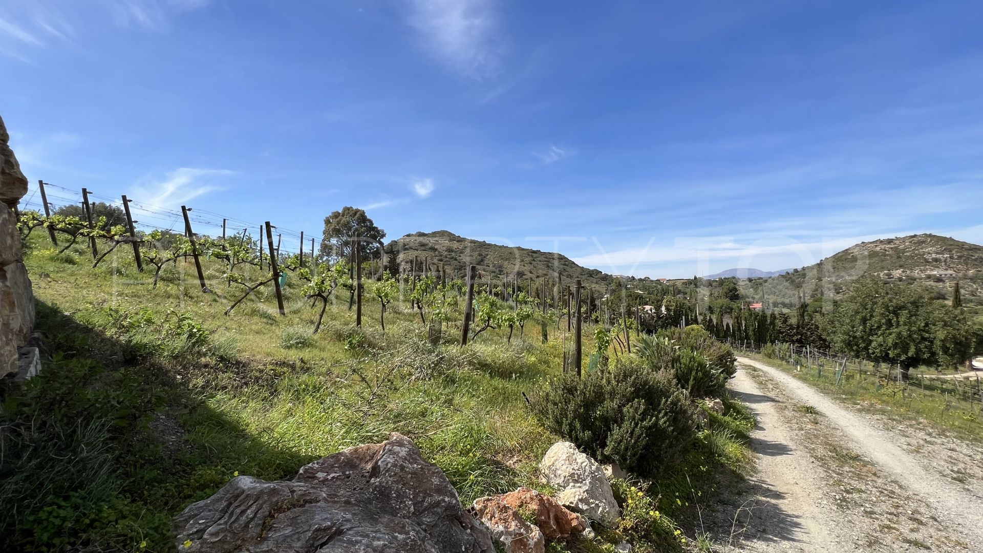 Finca de 2 dormitorios en venta en Cartama