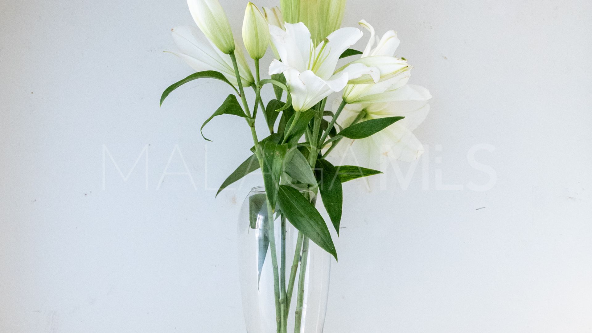 Se vende apartamento de 4 bedrooms in Perchel Sur - Plaza de Toros Vieja