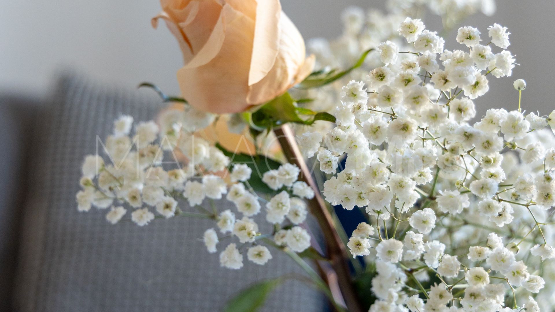 Penthaus for sale in Centro Histórico
