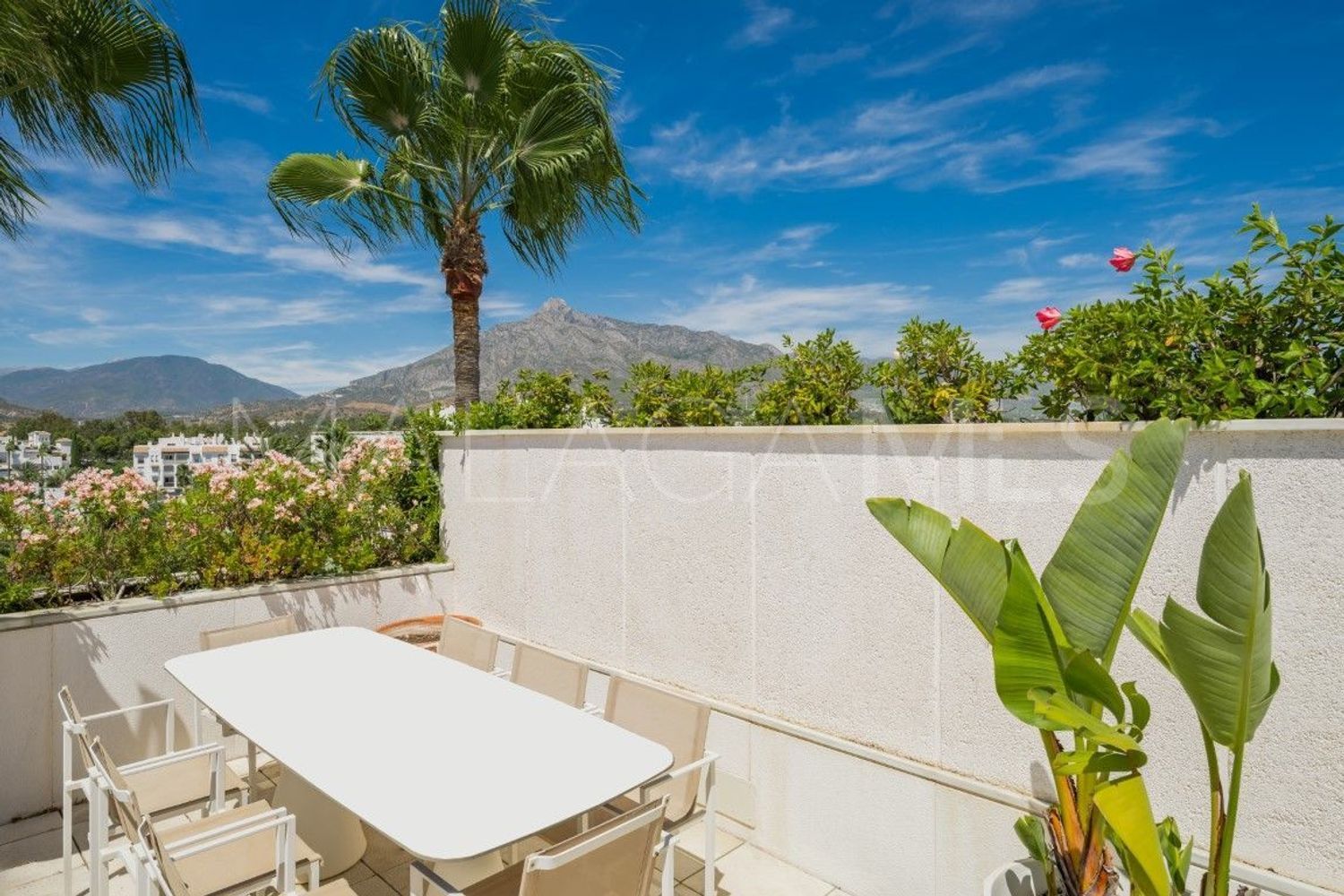 3 bedrooms Marbella - Puerto Banus flat for sale