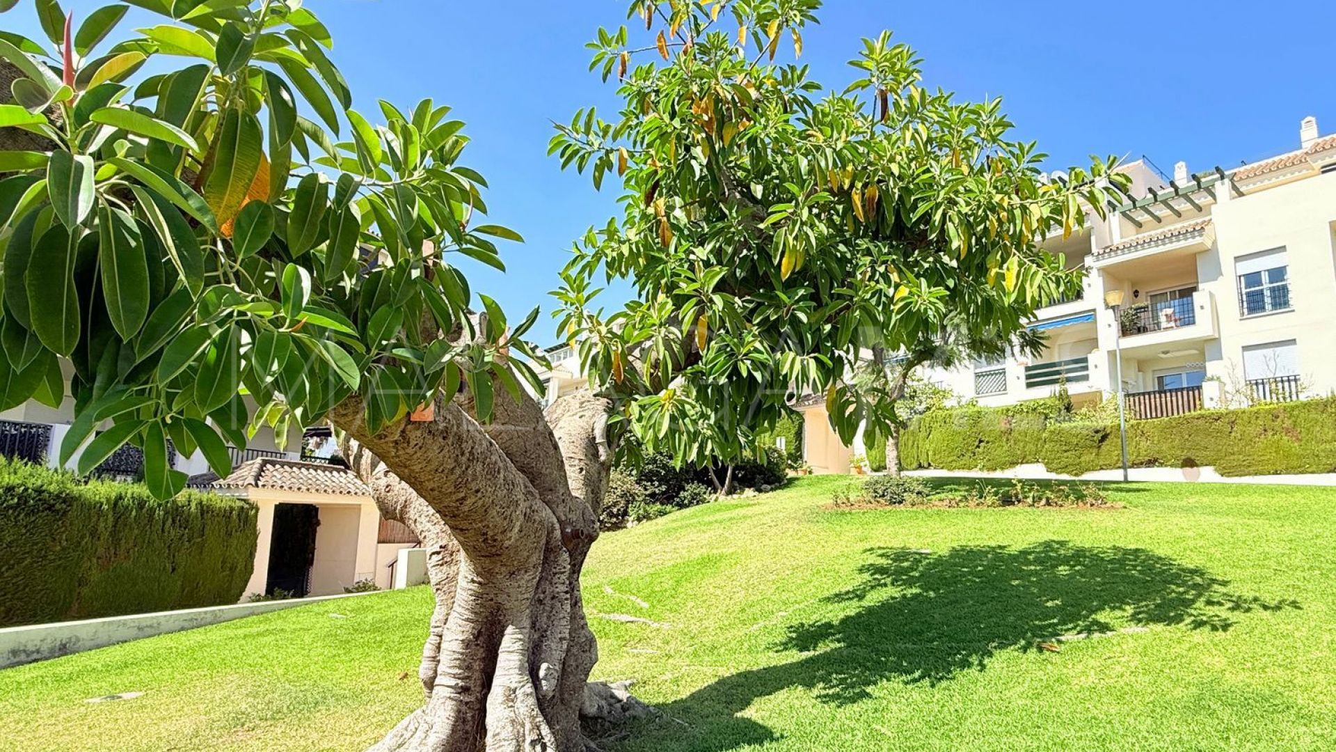 Flat for sale in Nueva Andalucia