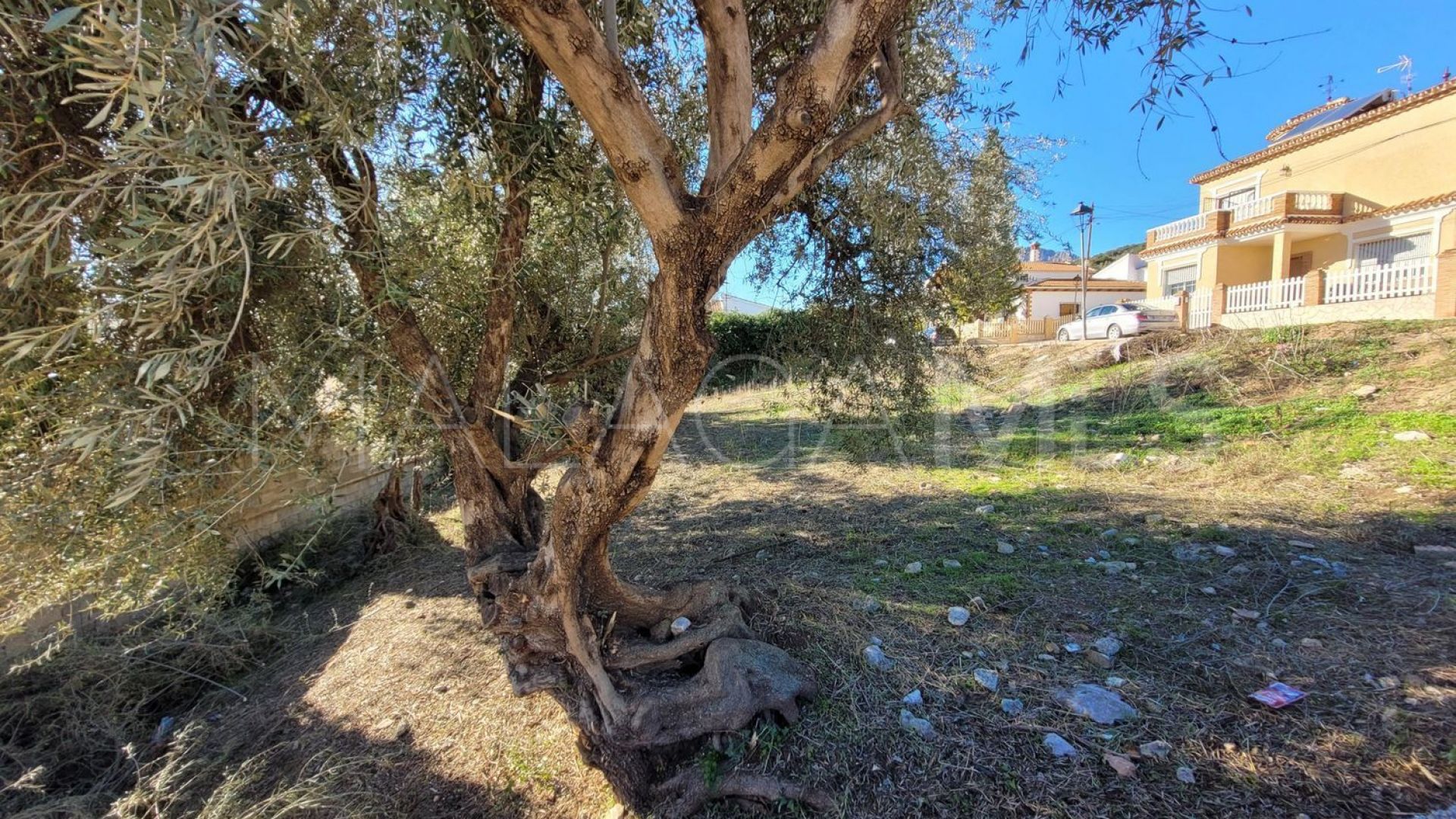 Plot for sale in Periana