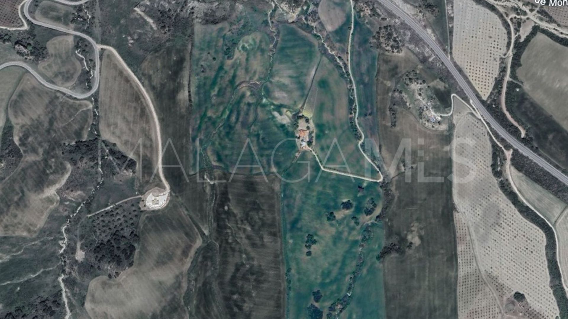 For sale Montecorto plot