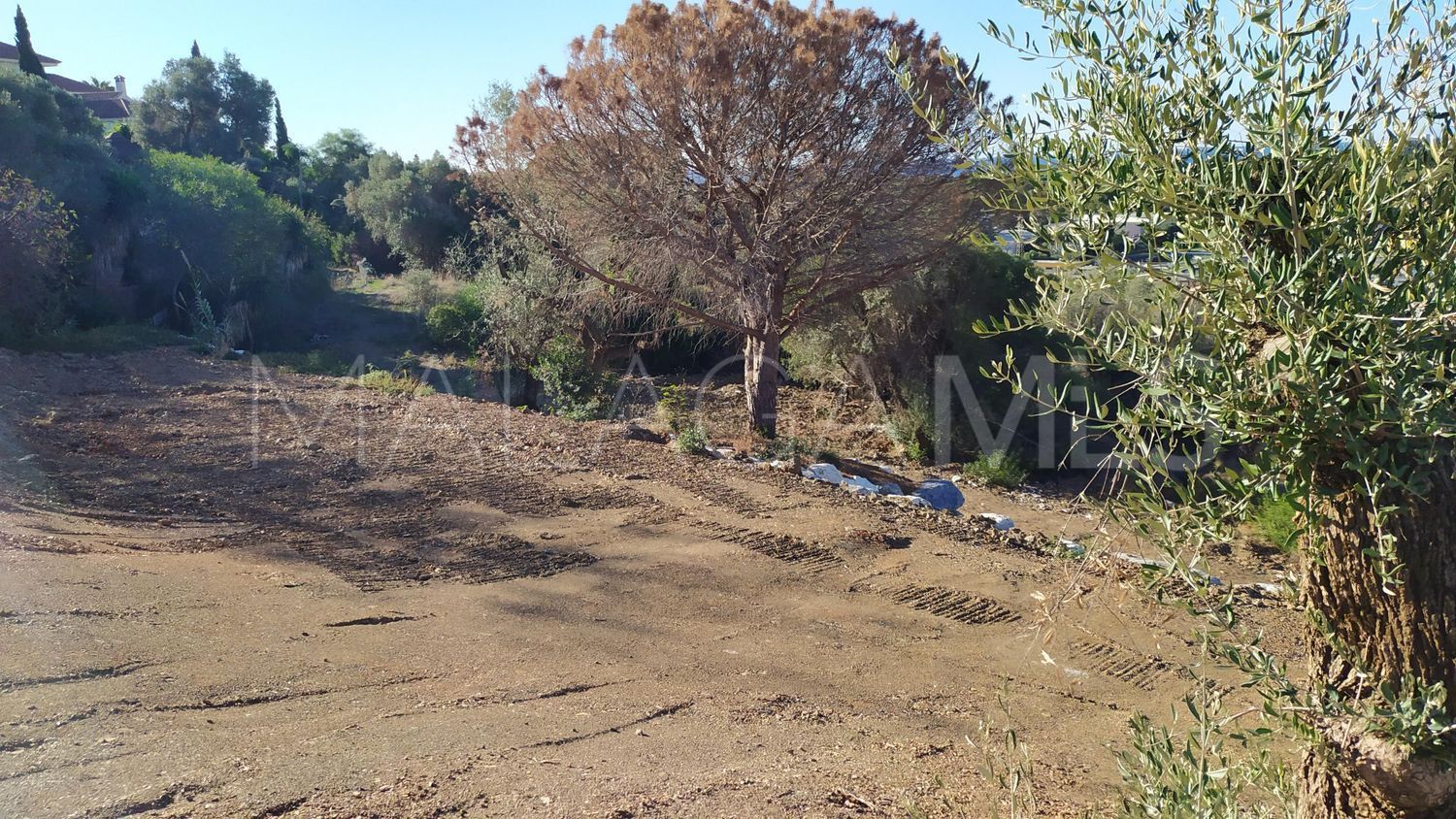 For sale Santa Maria plot