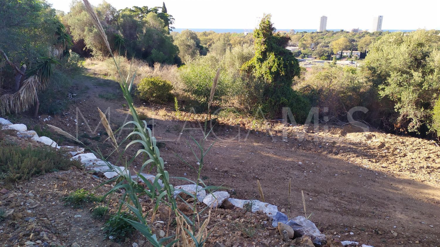 For sale Santa Maria plot