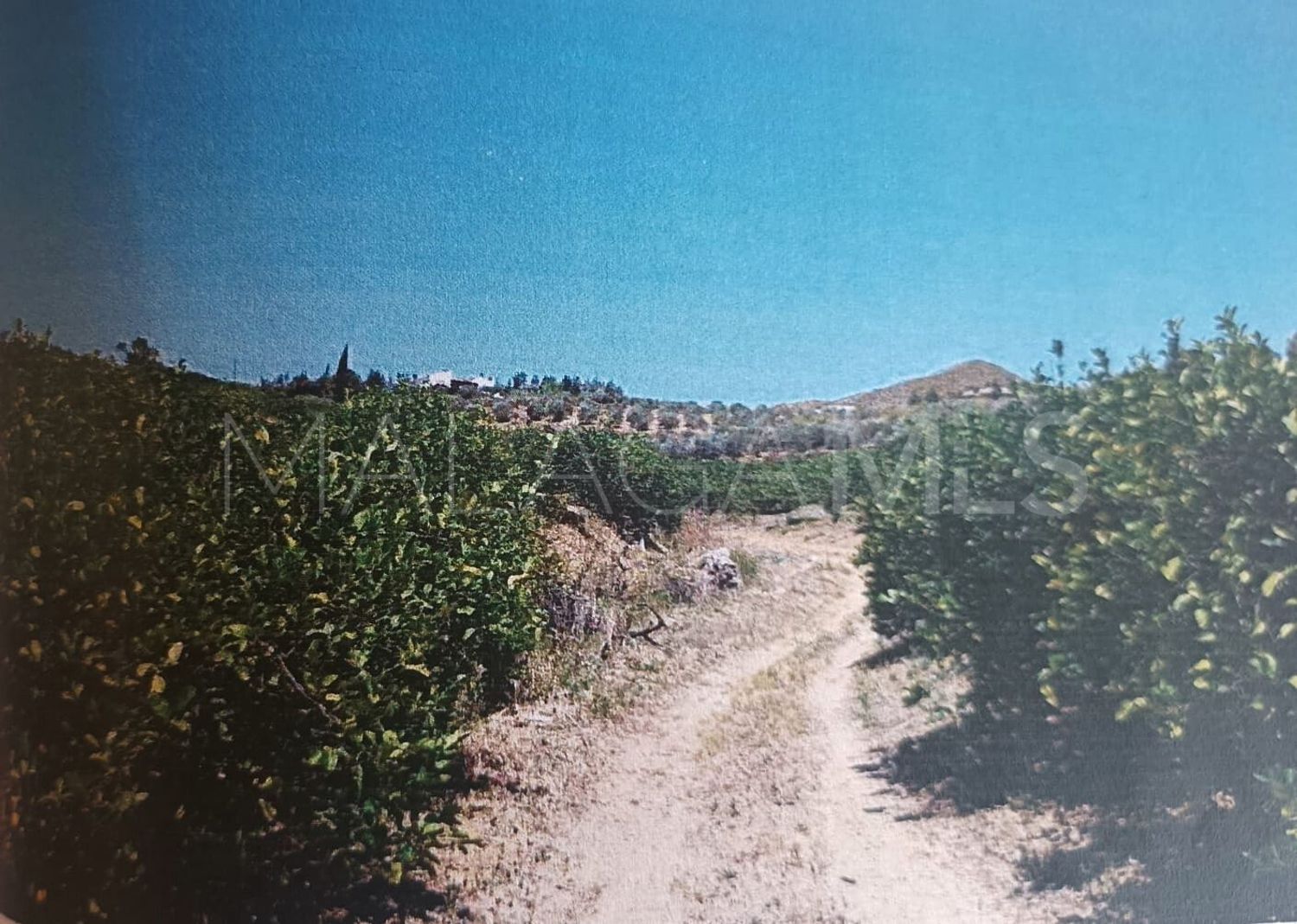 Alora, parcela a la venta