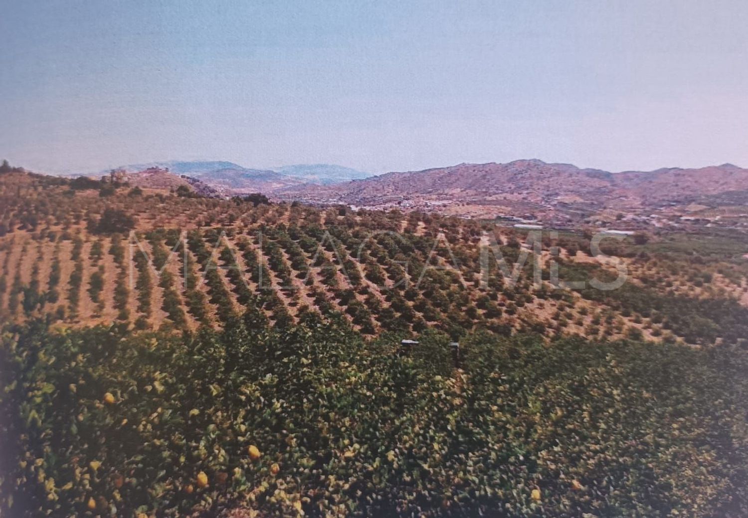 Alora, parcela a la venta