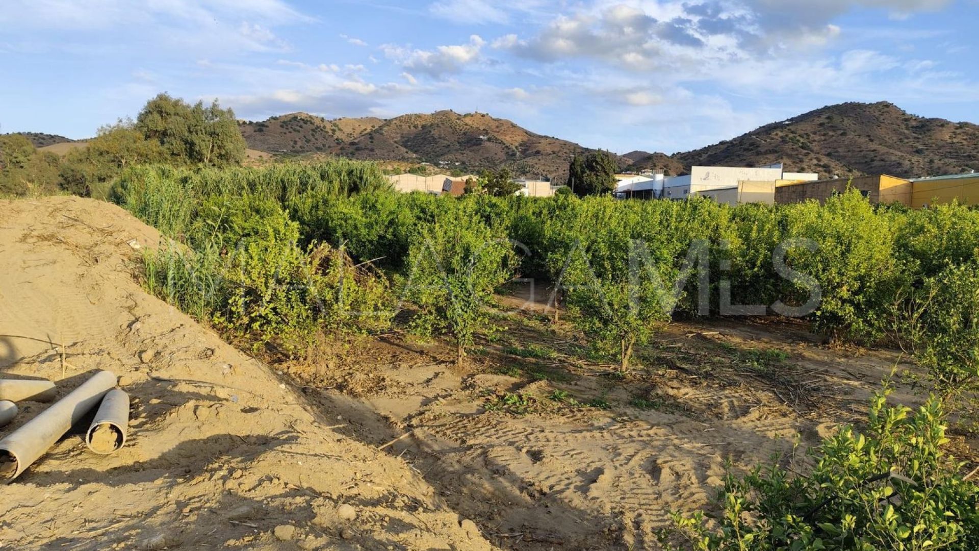 Buy parcela in Alora