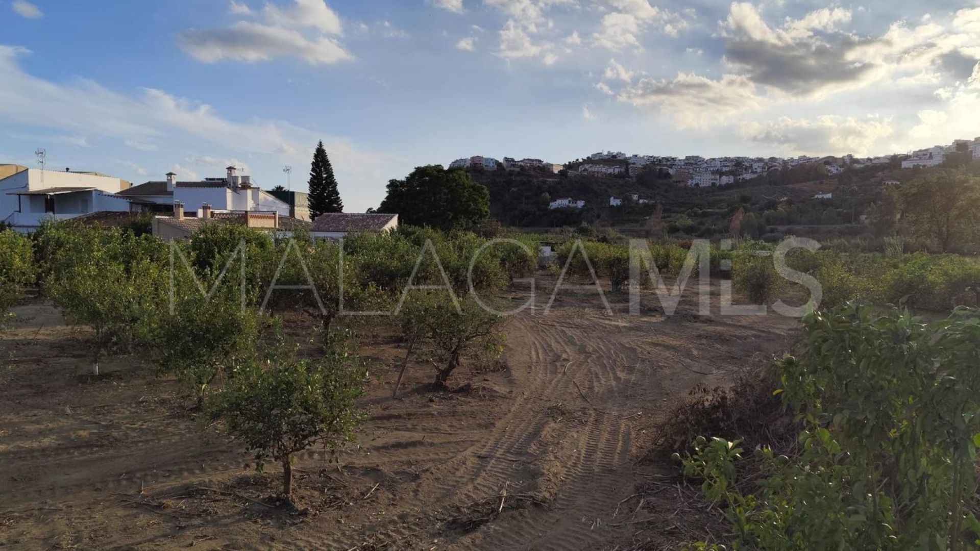Buy parcela in Alora