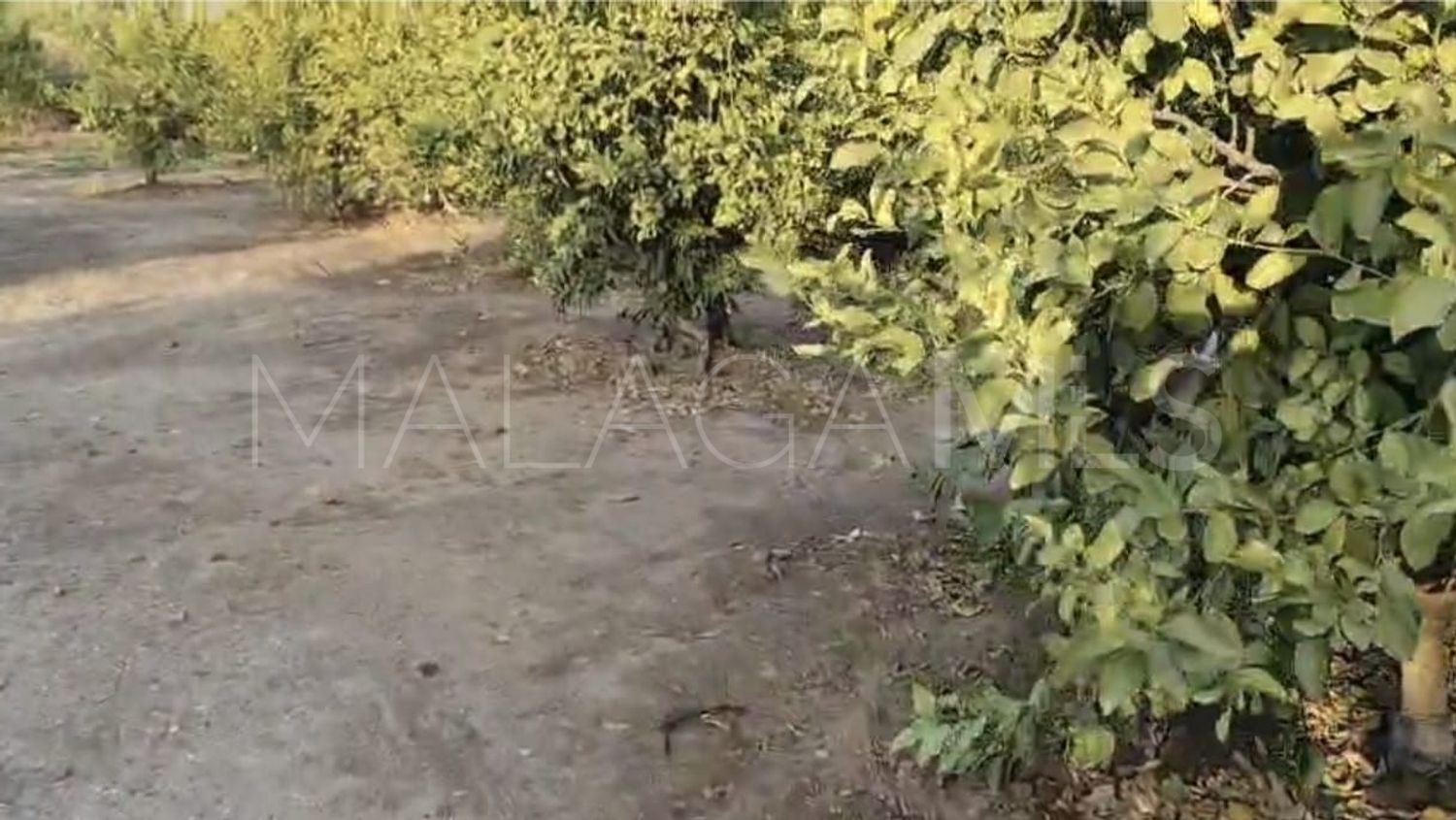 Grundstück for sale in Alora