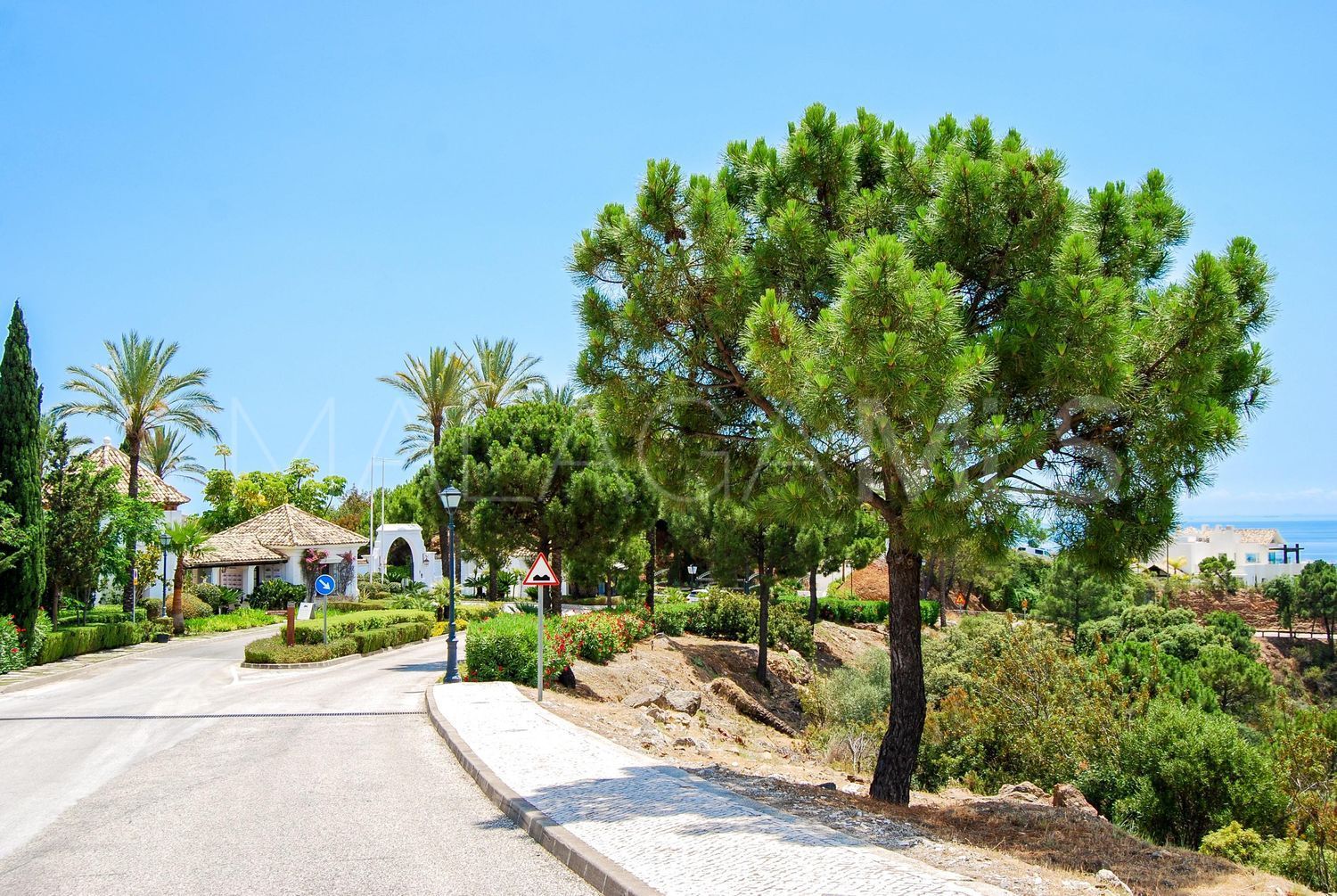 For sale plot in Monte Mayor