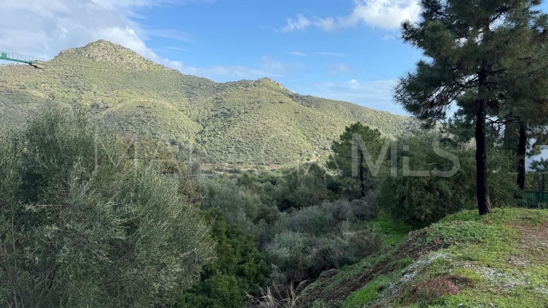 For sale plot in Monte Mayor