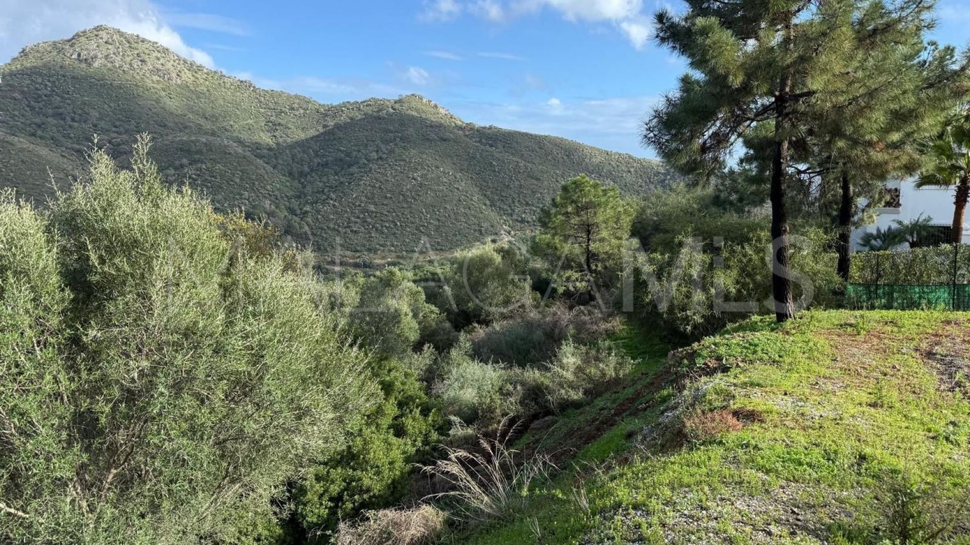 For sale plot in Monte Mayor