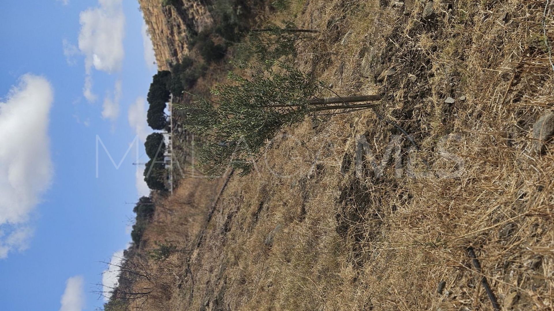 Casarabonela plot for sale