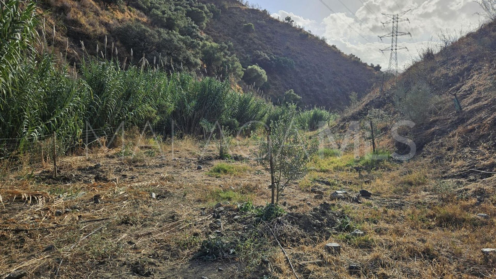 Tomt for sale in Casarabonela